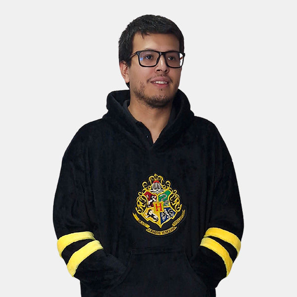 Harry Potter Hogwarts