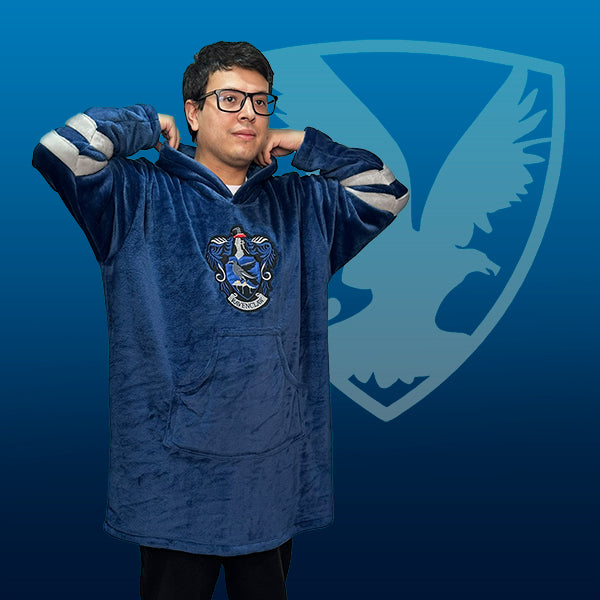 Harry Potter Ravenclaw